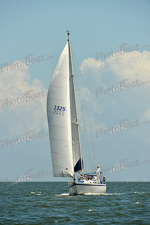 2015 Southern Bay Race Week C 1308