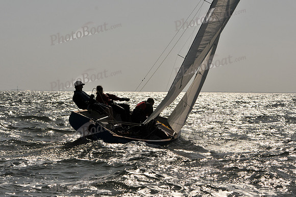 2012 Thistle Midwinters B 276