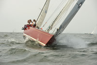 2015 Vineyard Race A 260