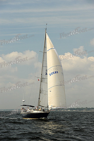 2013 Vineyard Race A 561