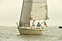 TLSEA