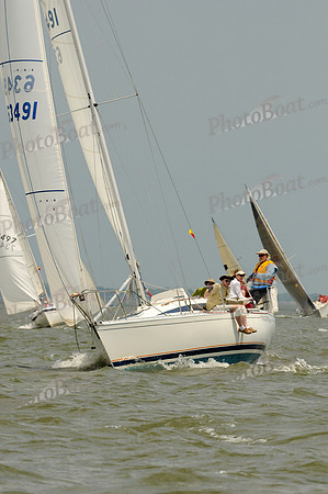2012 Southern Bay Race Week A 1365