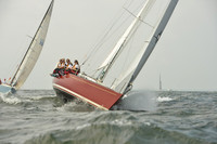 2015 Vineyard Race A 256