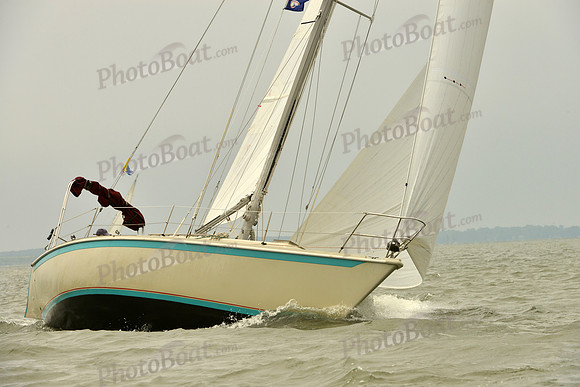 2016 Southern Bay Race Week A_1147