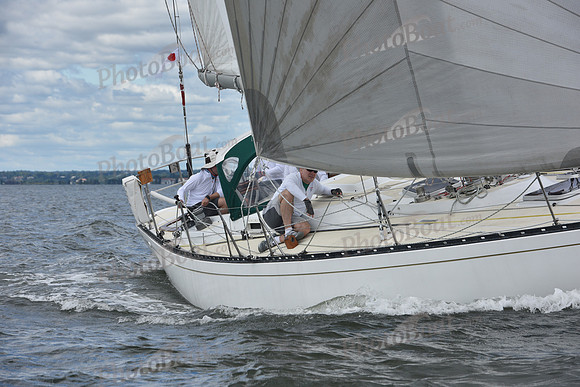 2021 Vineyard Race A 0282