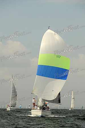 2013 Vineyard Race A 444