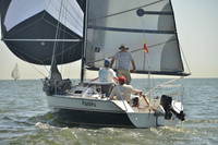 2017 Southern Bay Race Week B_0442