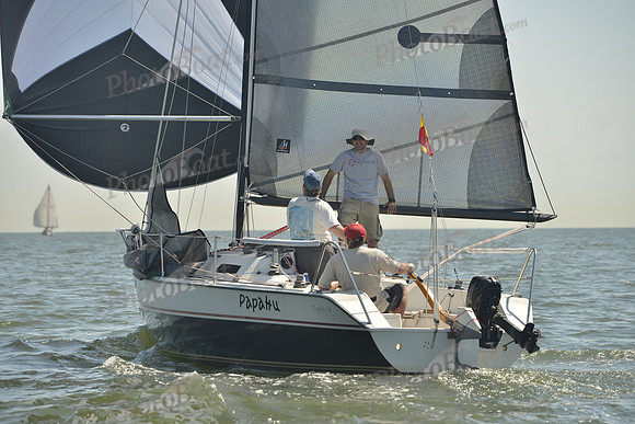2017 Southern Bay Race Week B_0442