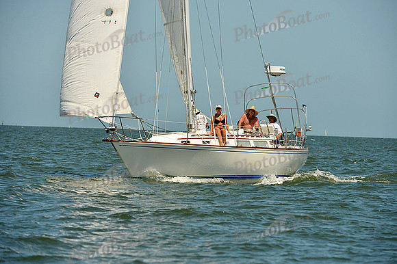 2015 Southern Bay Race Week C 1488