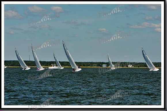 proof_2010_EScows_D 020