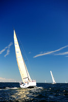 2014 Vineyard Race A 799