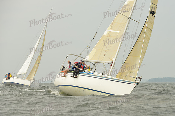 2015 Vineyard Race A 199