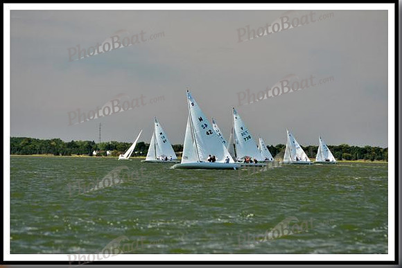 proof_2010_EScows_E 027