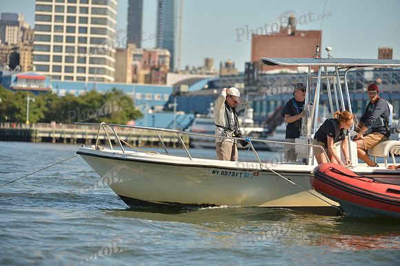 2016 NY Architects Regatta_0289