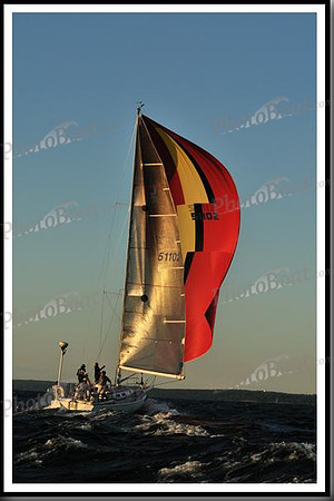 proof_2010_Vineyard_Race_2166