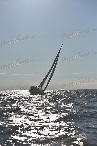 2021 Vineyard Race B 2778