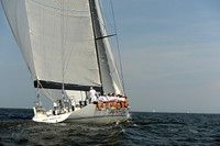 2013 Vineyard Race A 1654