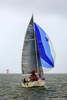 DBP_1179