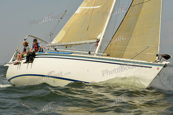 2015 Vineyard Race A 332