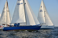 2019 ALIR_2401