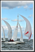 proof_2010_EScows_B 1114
