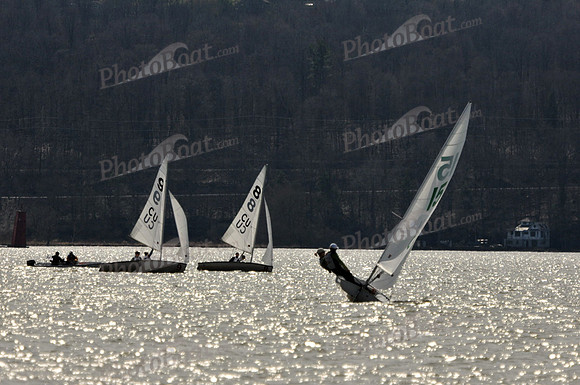 2011_Prosser_C 291