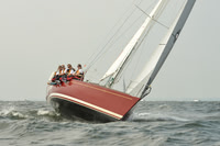 2015 Vineyard Race A 254