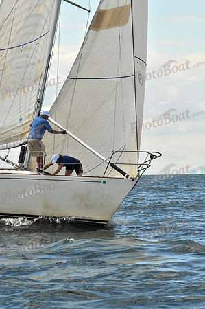 2010 IRC LIS 593