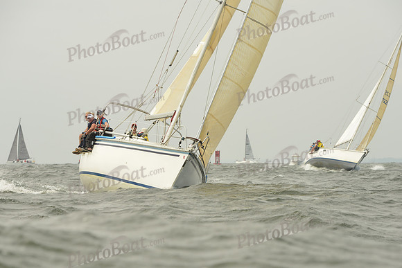 2015 Vineyard Race A 206