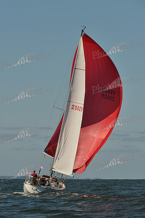 2015 Vineyard Race C 305