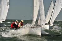 2012 Thistle Midwinters B 570