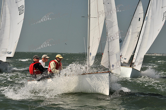2012 Thistle Midwinters B 570