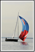 proof_2010 Block Island Race 313