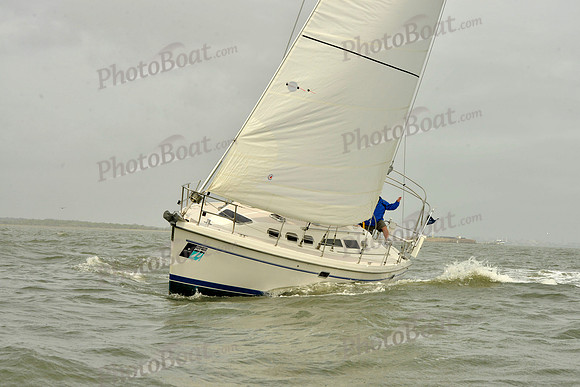 2018 Charleston Race Week C_0264
