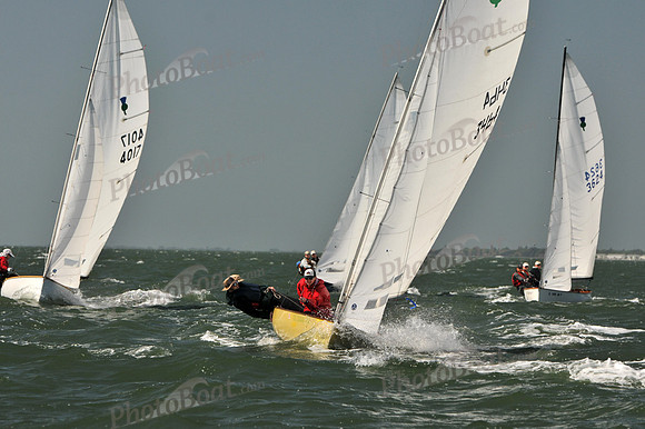 2012 Thistle Midwinters B 600