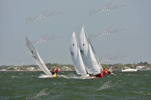 2012 Thistle Midwinters B 494