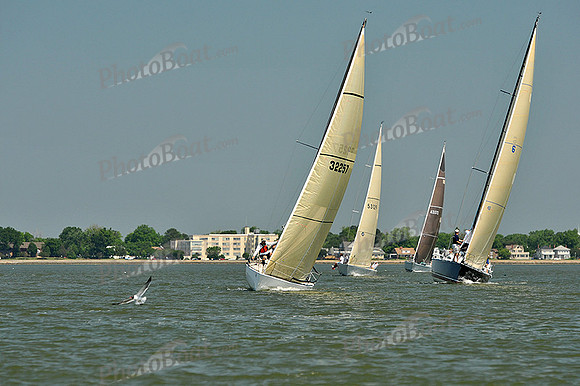 2013 Southern Bay Race Week A 163