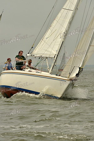 2016 Southern Bay Race Week A_0419
