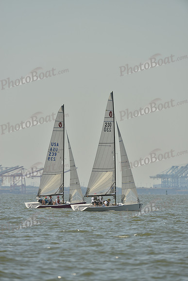 2017 Southern Bay Race Week C_0031