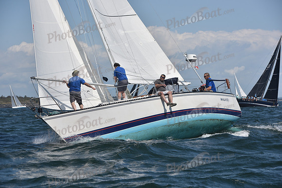 2020 CYC Around the Island Race_0719