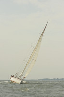 2015 Vineyard Race A 1211