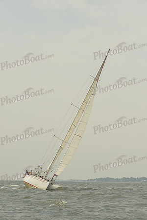 2015 Vineyard Race A 1211