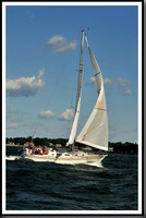 proof_2010_Vineyard_Race_0110