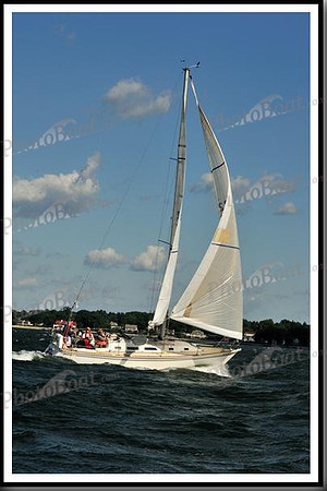 proof_2010_Vineyard_Race_0110