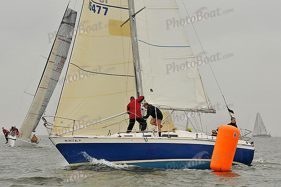 2014 Southern Bay Race Week A 294