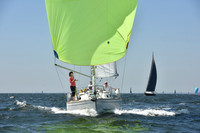 2019 Vineyard Race A_0516