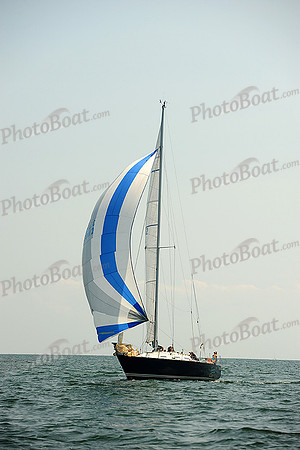 2014 Cape Charles Cup A 997