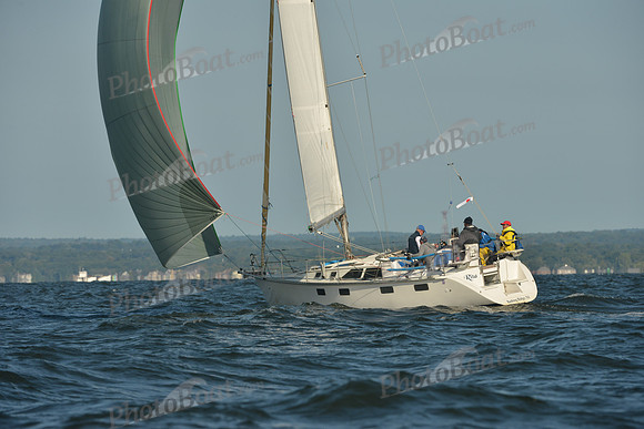 2015 Vineyard Race C 061