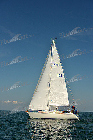 2015 Cape Charles Cup C 312