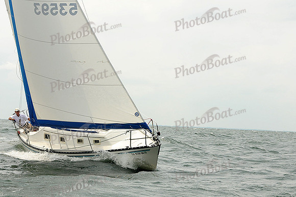 2012 Cape Charles Cup A 1954